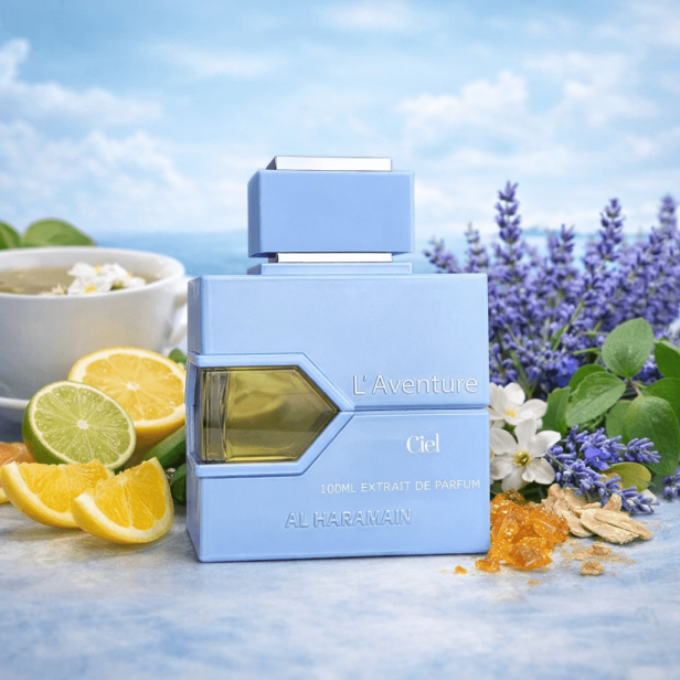 Al Haramain - L'Aventure Ciel.PNG