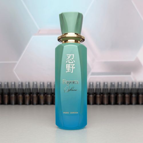 Paris Corner - Fayora Oshino.png