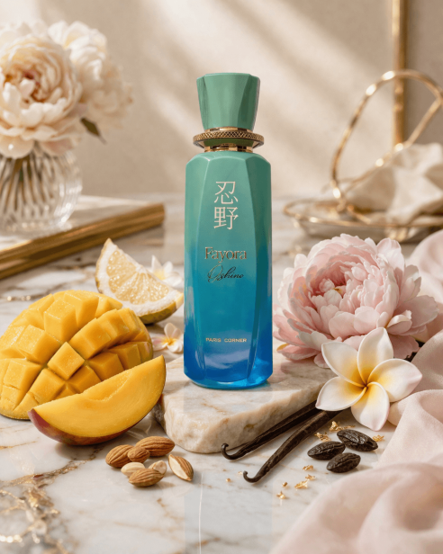 Paris Corner - Fayora Oshino.png