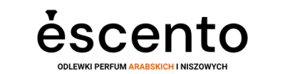 logo - strona główna